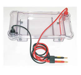 Electrophoresis tank